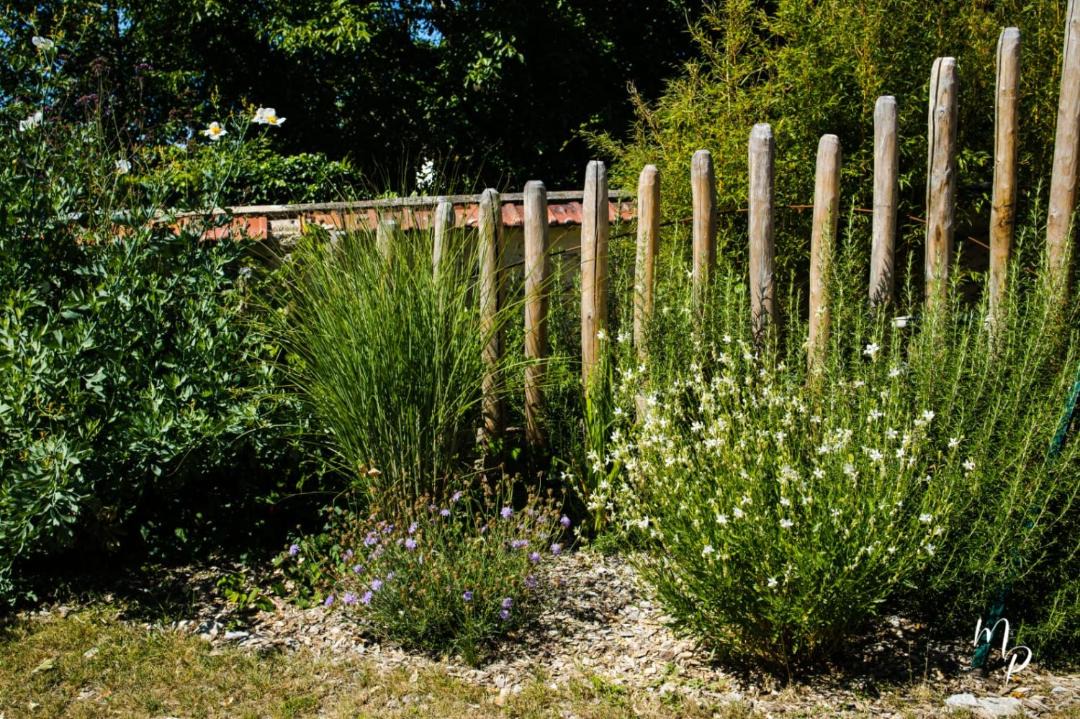 Photo of Others in Giverny