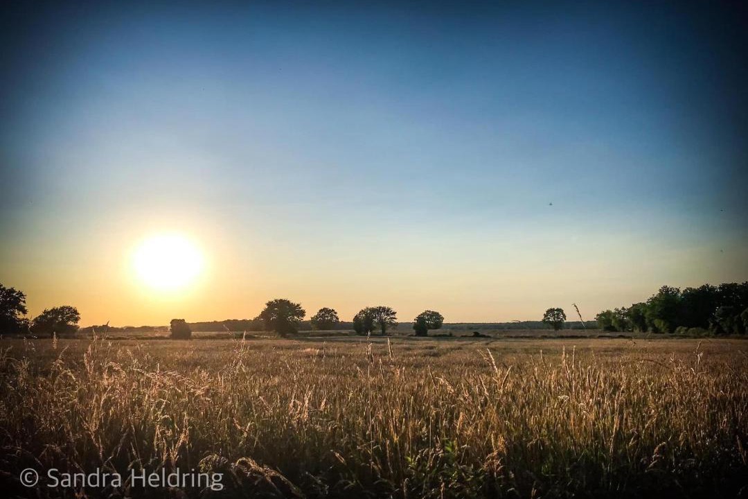 Photo of Others in Sainte-Severe-sur-Indre