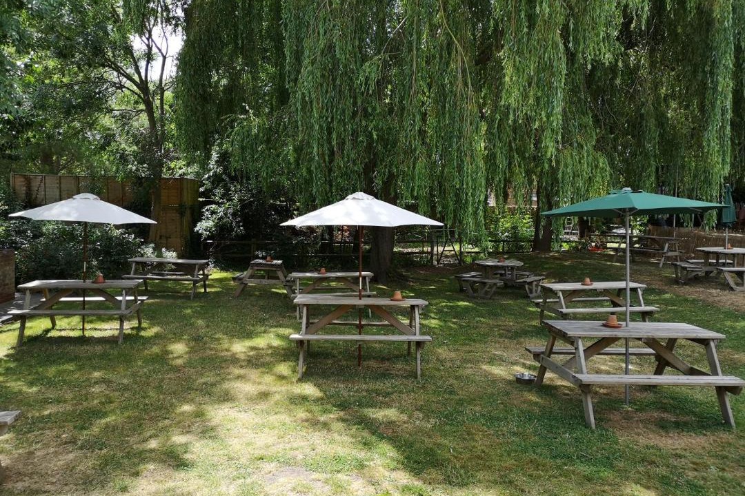 Photo of Others in Fishbourne