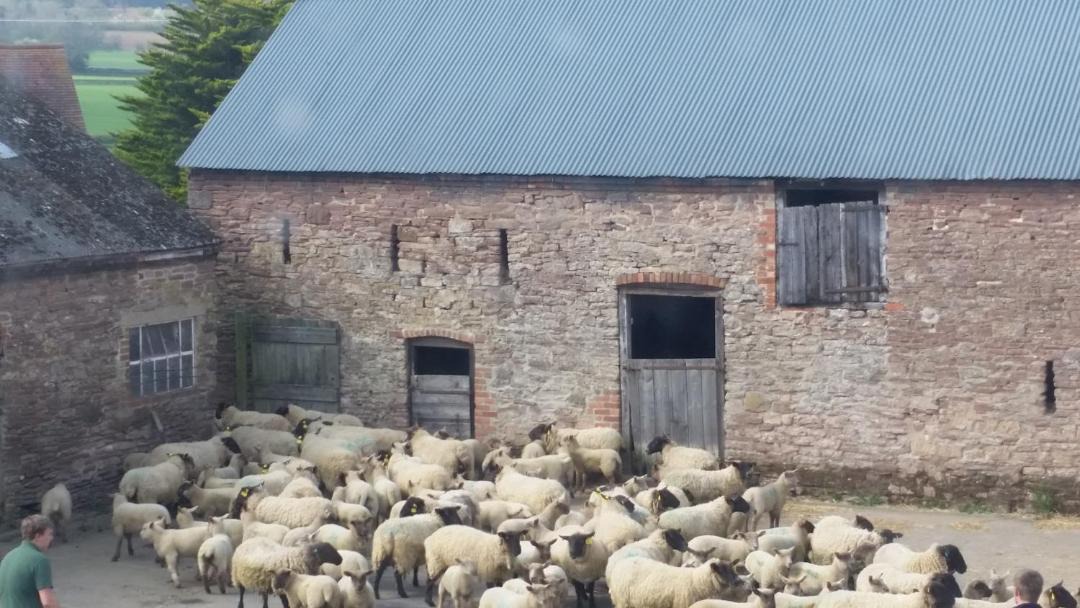 Photo of Others in Halfway House