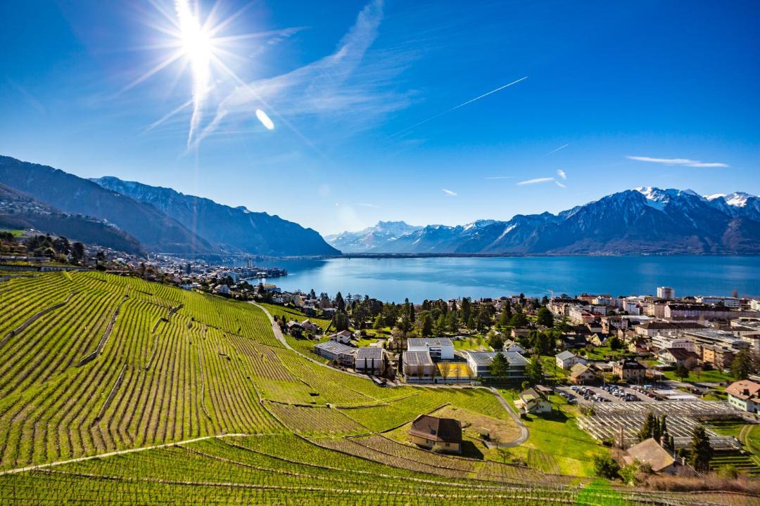 Photo of Others in Montreux