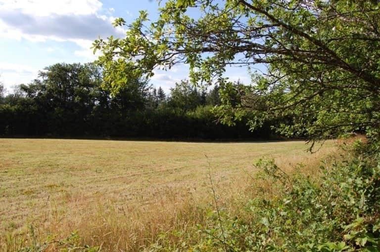 Photo of Outdoor in Alligny-en-Morvan