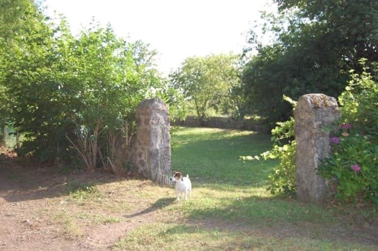 Photo of Others in Alligny-en-Morvan