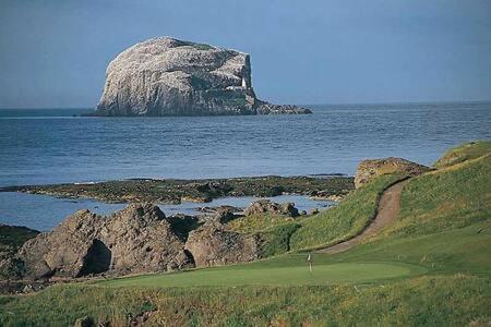 Photo of Others in North Berwick