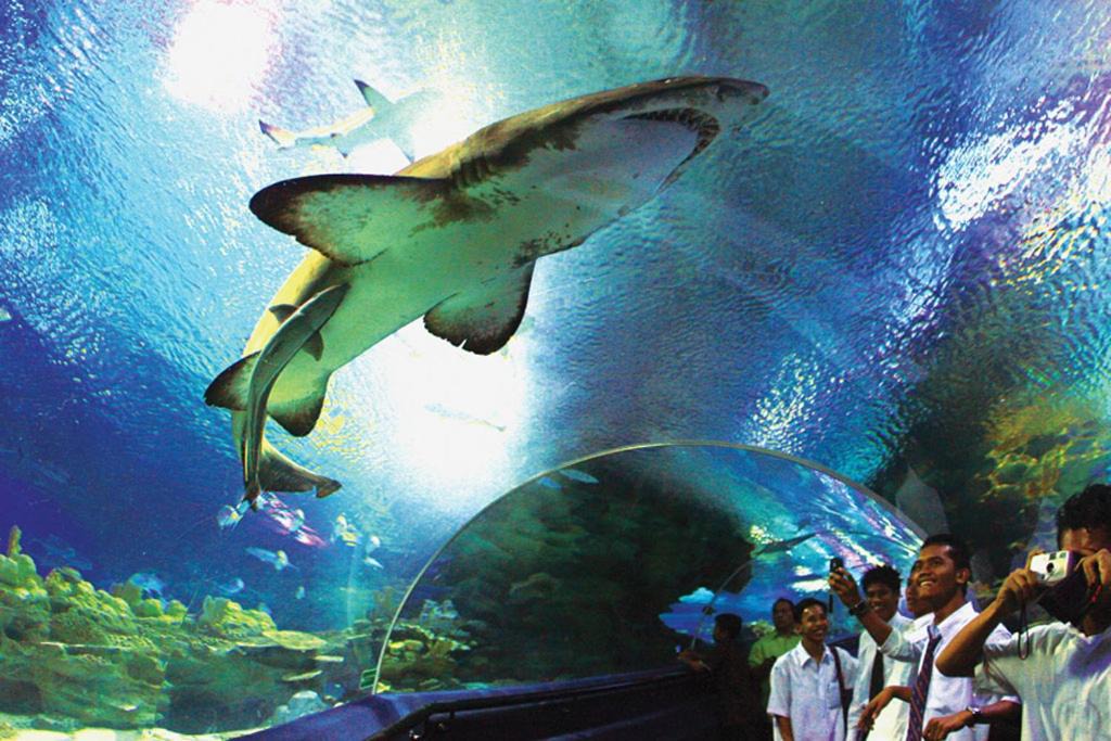 Photo of Others in Selangor