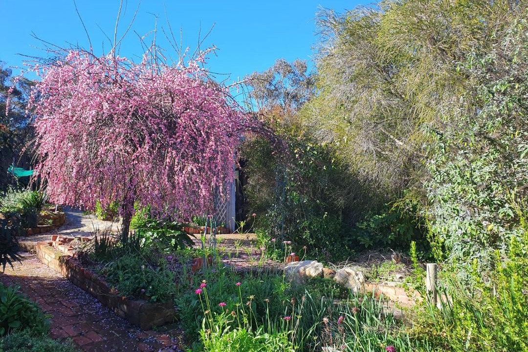 Photo of Others in Castlemaine