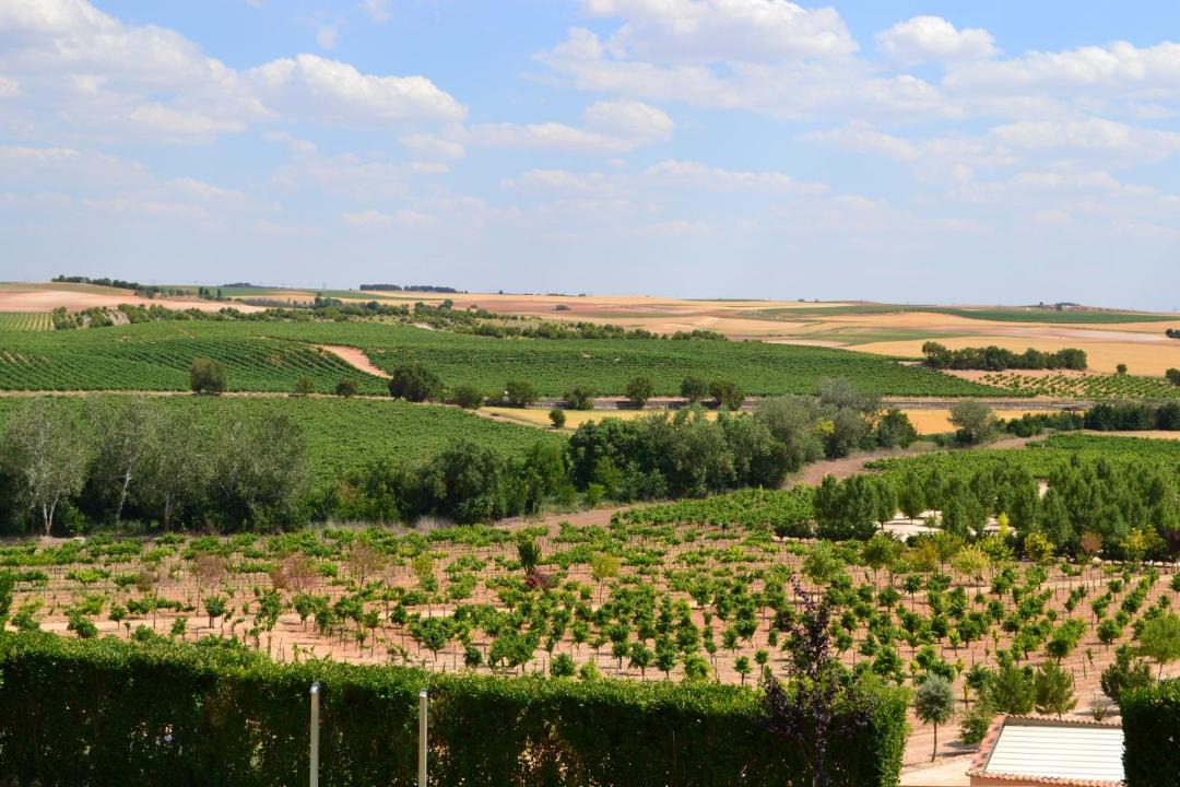 Photo of Others in Tarancon