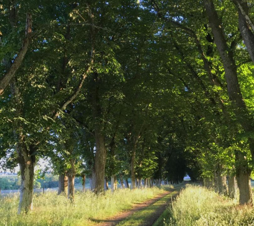 Photo of Others in Beaupreau-en-Mauges