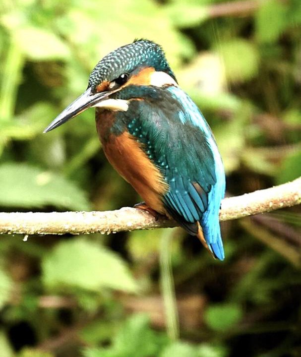 Photo of Others in Dorchester