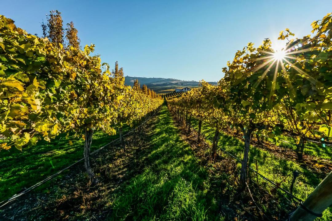 Photo of Others in Willow Point