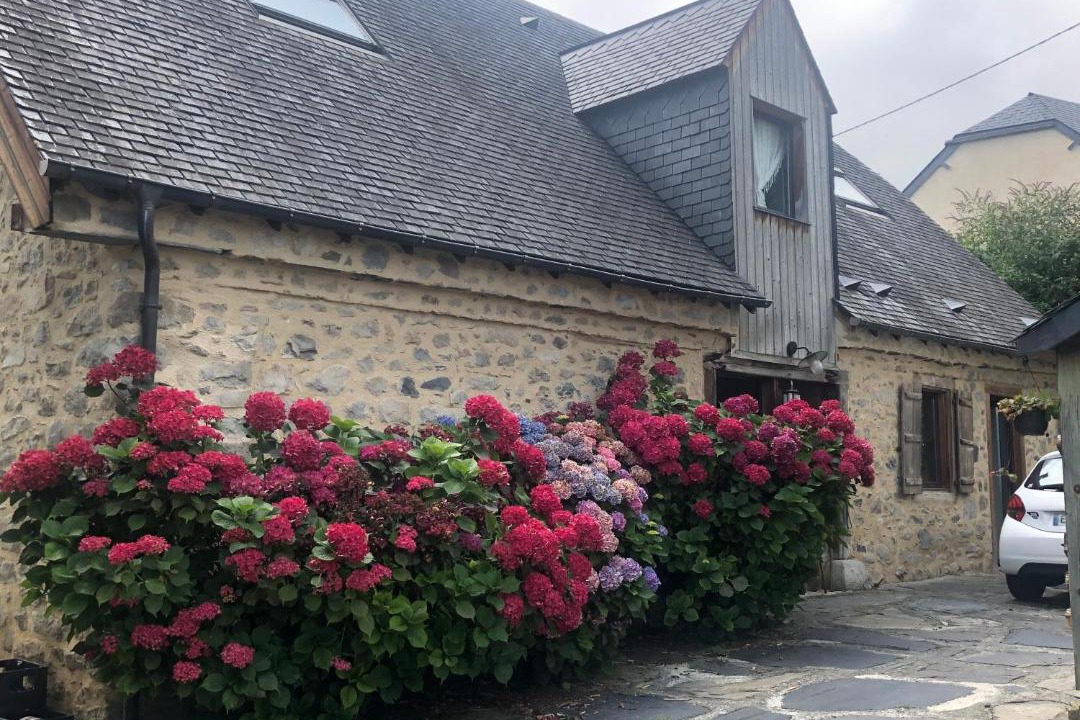Photo of Buildings in Arras-en-Lavedan