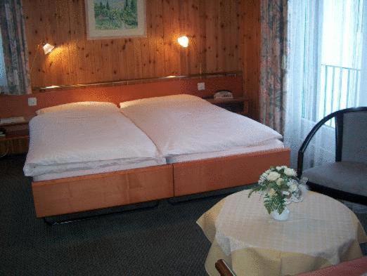 Photo of Others in Braunwald