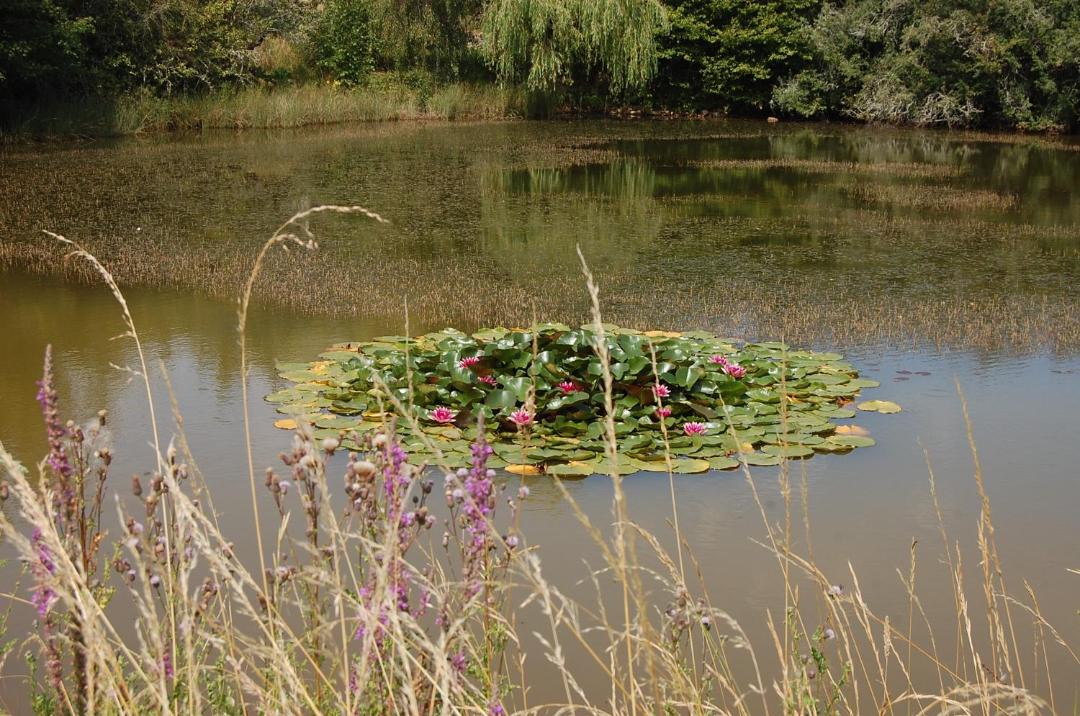 Photo of Outdoor in Champagne-Mouton