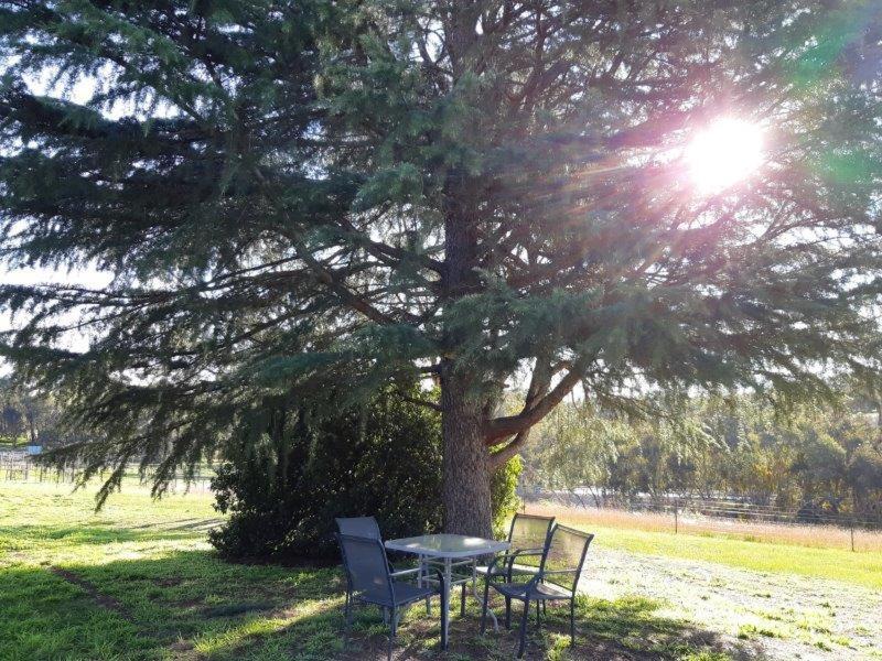 Photo of Outdoor in Everton Upper