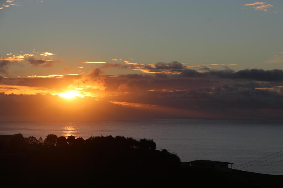 Photo of Others in Omata