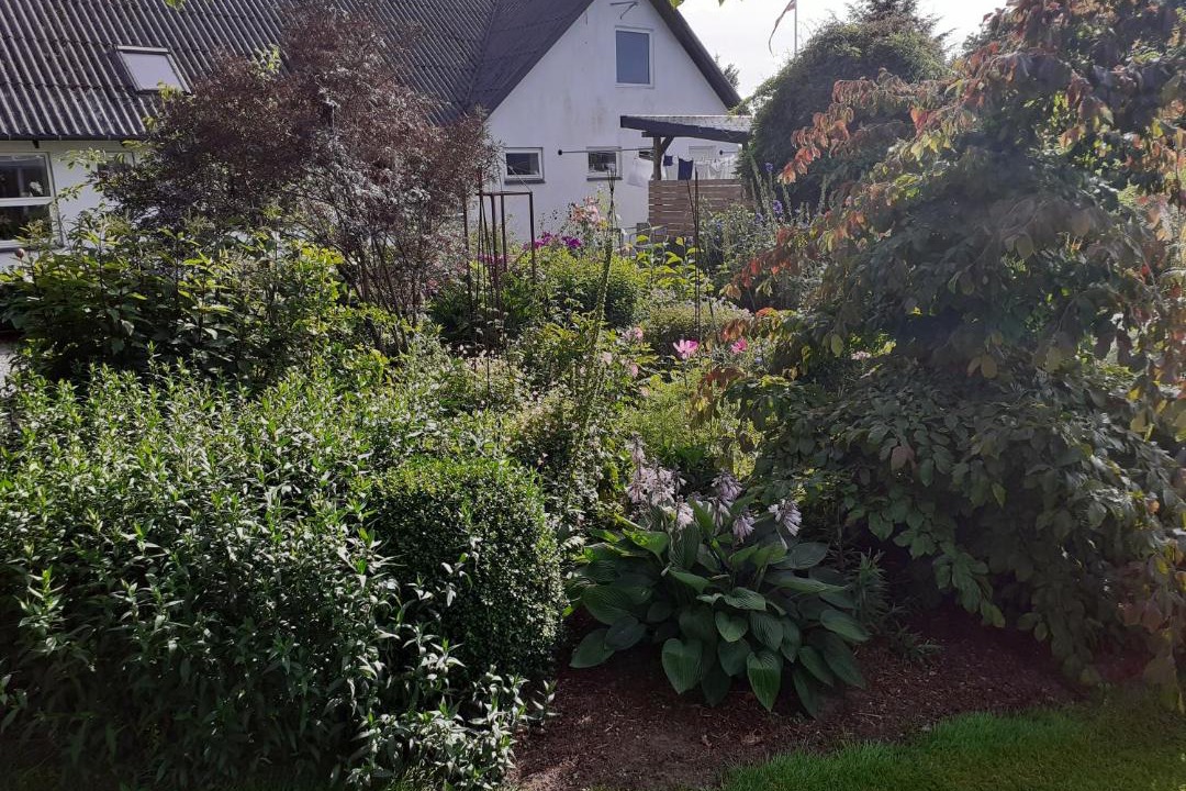 Photo of Others in Brovst