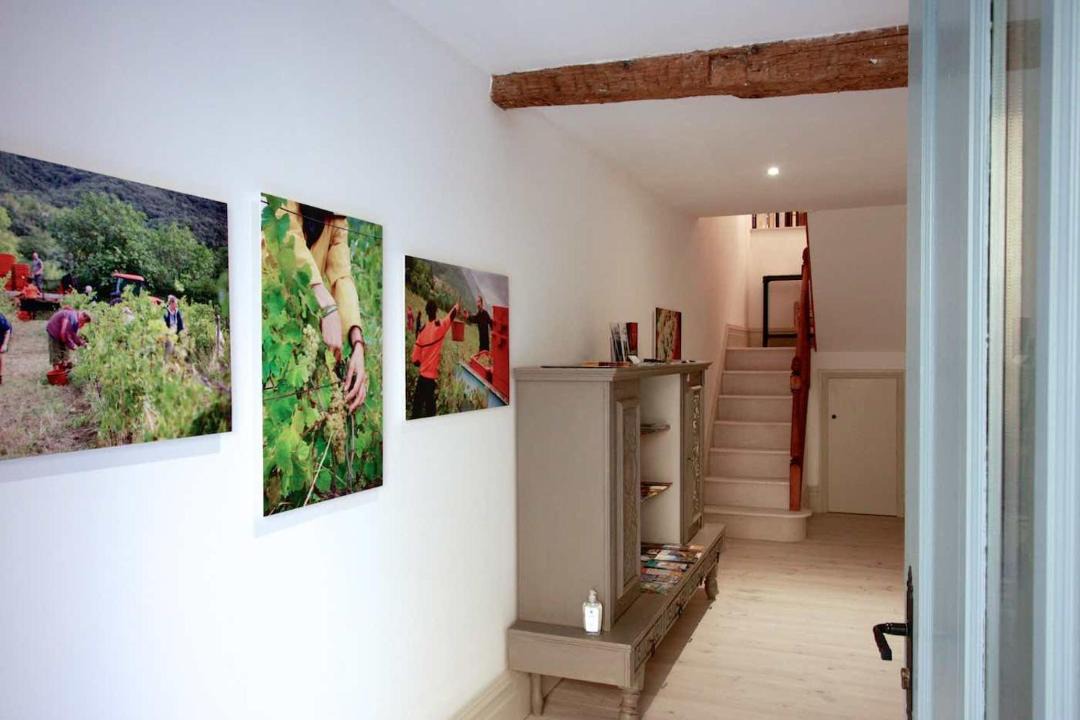 Photo of Others in Caudies-de-Fenouilledes