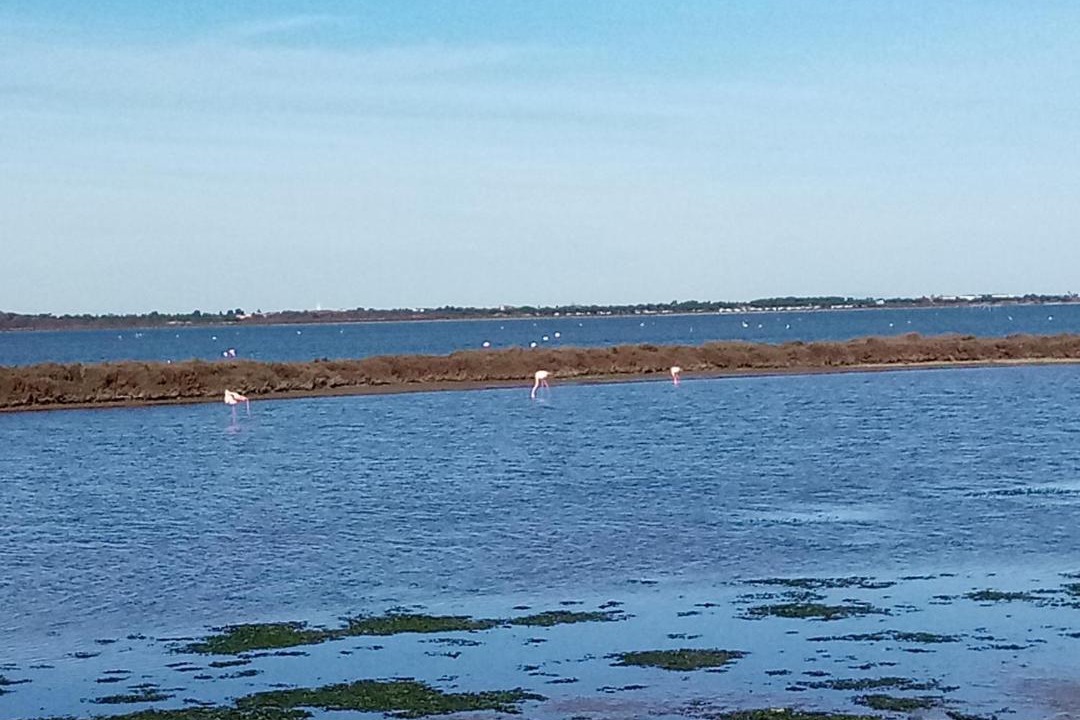 Photo of Others in Palavas-les-Flots