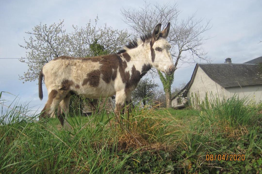 Photo of Others in Neuville
