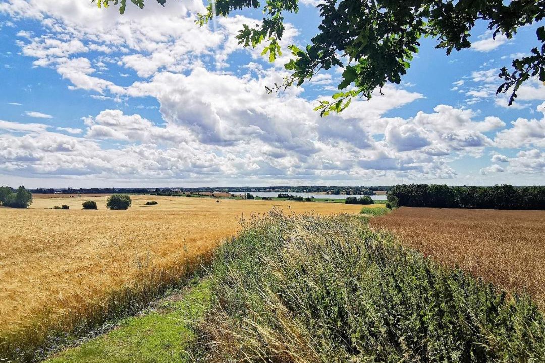 Photo of Outdoor in Kerteminde