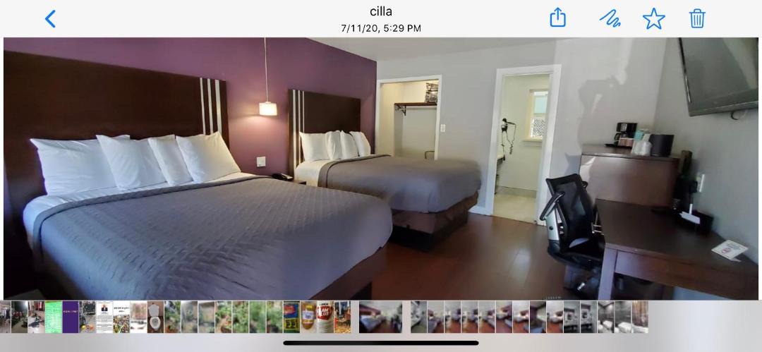 Photo of Others in Martinez