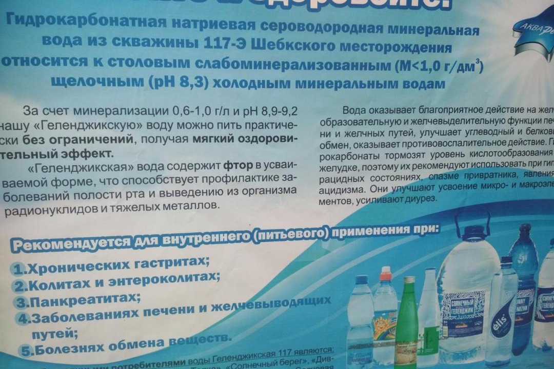 Photo of Others in Gelendzhik