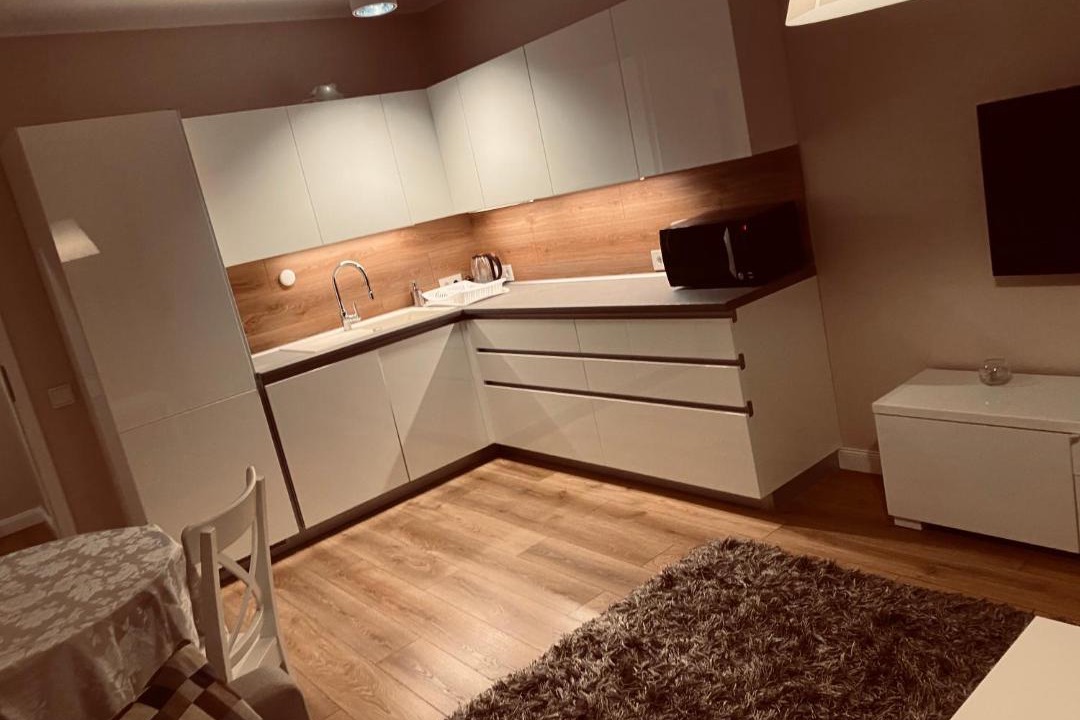 Photo of Kitchen in Maloye Isakovo