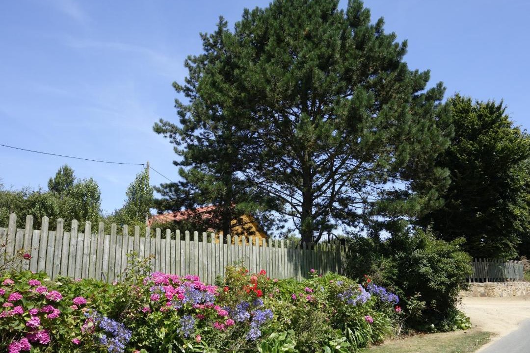 Photo of Outdoor in Pleumeur-Gautier