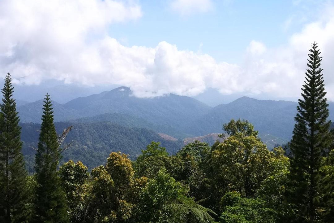 Photo of Others in Bukit Fraser