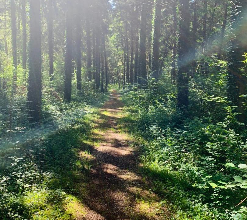 Photo of Outdoor in Sainte-Helene-du-Lac