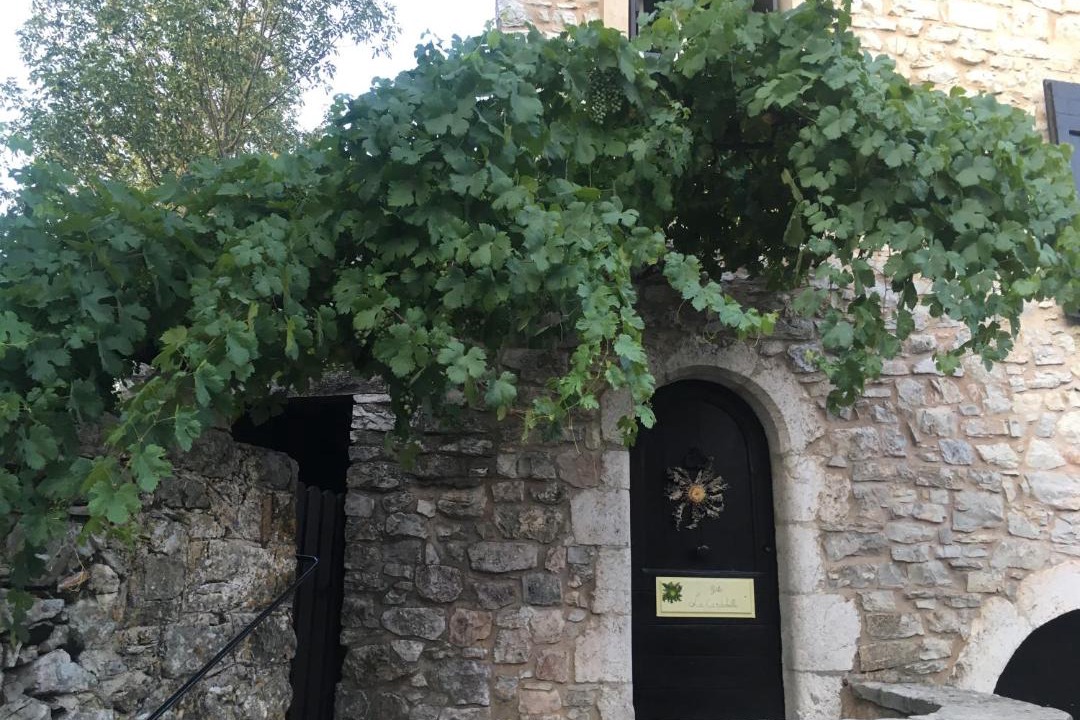 Photo of Others in Saint-Maurice-Navacelles