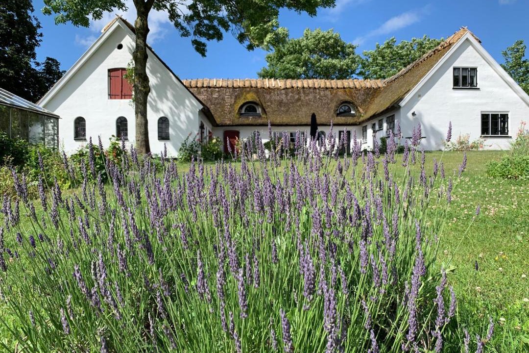 Photo of Others in Hillerod