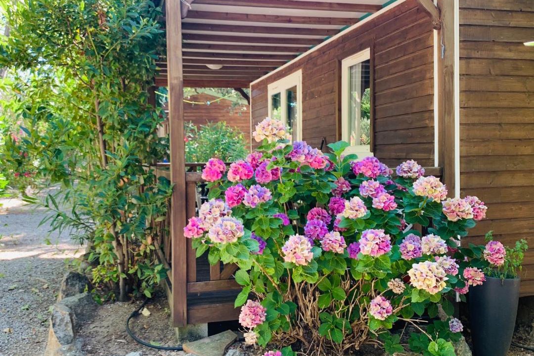 Photo of Others in Aregno