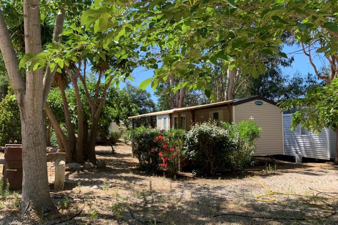 Photo of Others in Aregno