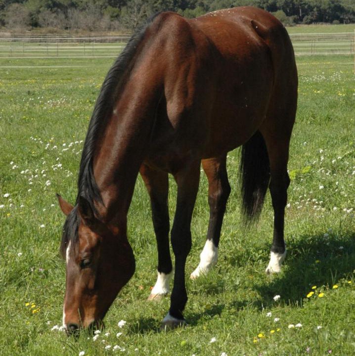 Photo of Others in Lunel-Viel