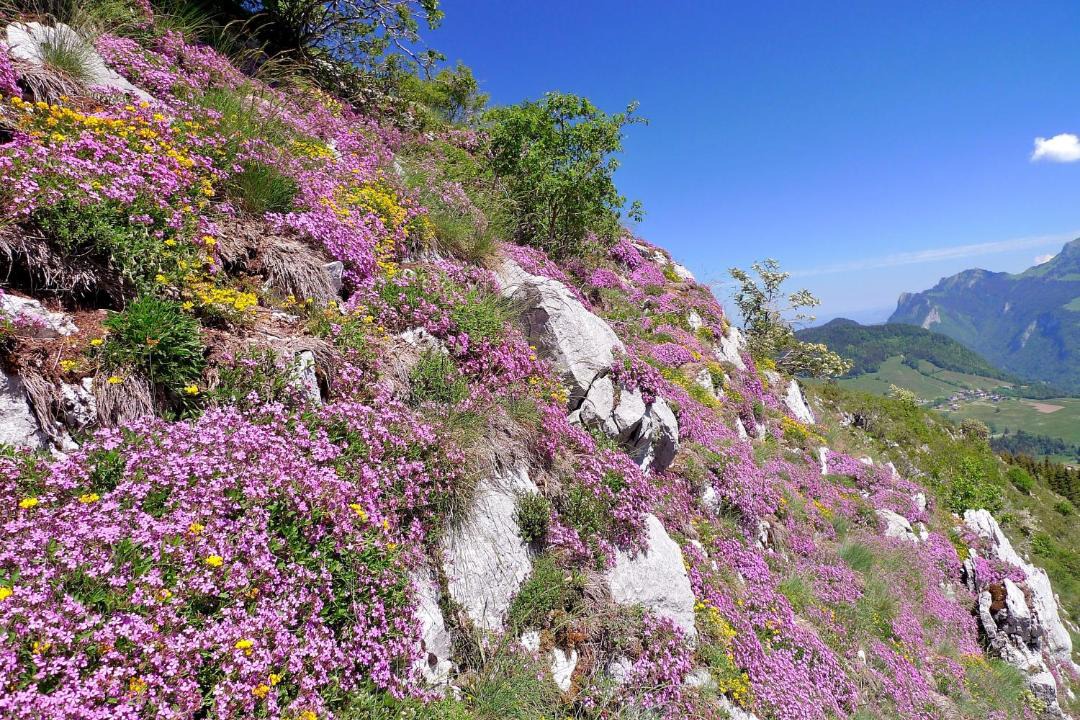 Photo of Outdoor in Hirmentaz