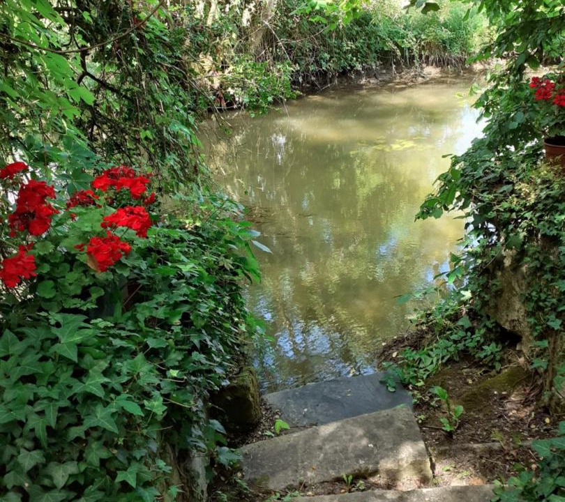 Photo of Others in Beaulieu-les-Loches