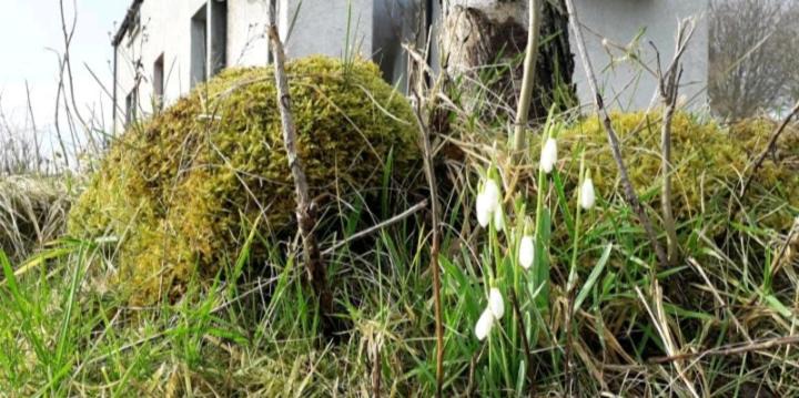 Photo of Buildings in Skail