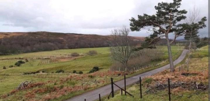 Photo of Others in Skail