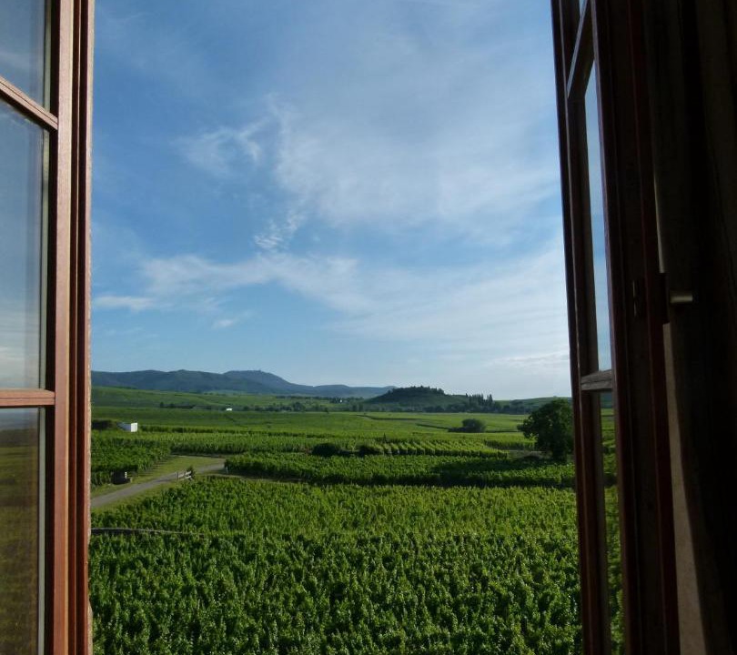 Photo of Others in Mittelwihr