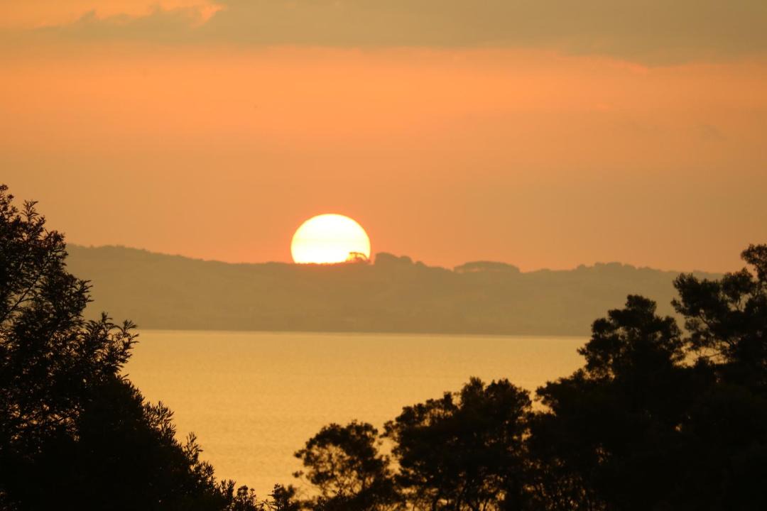 Photo of Others in Thames