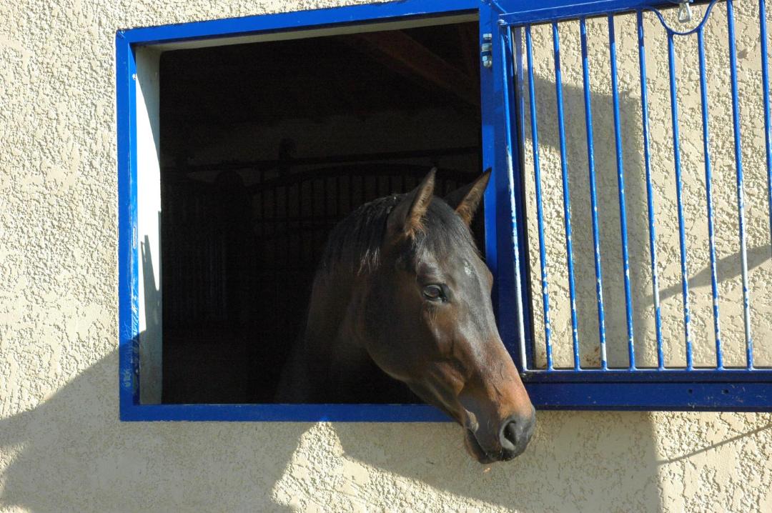 Photo of Others in Lunel-Viel