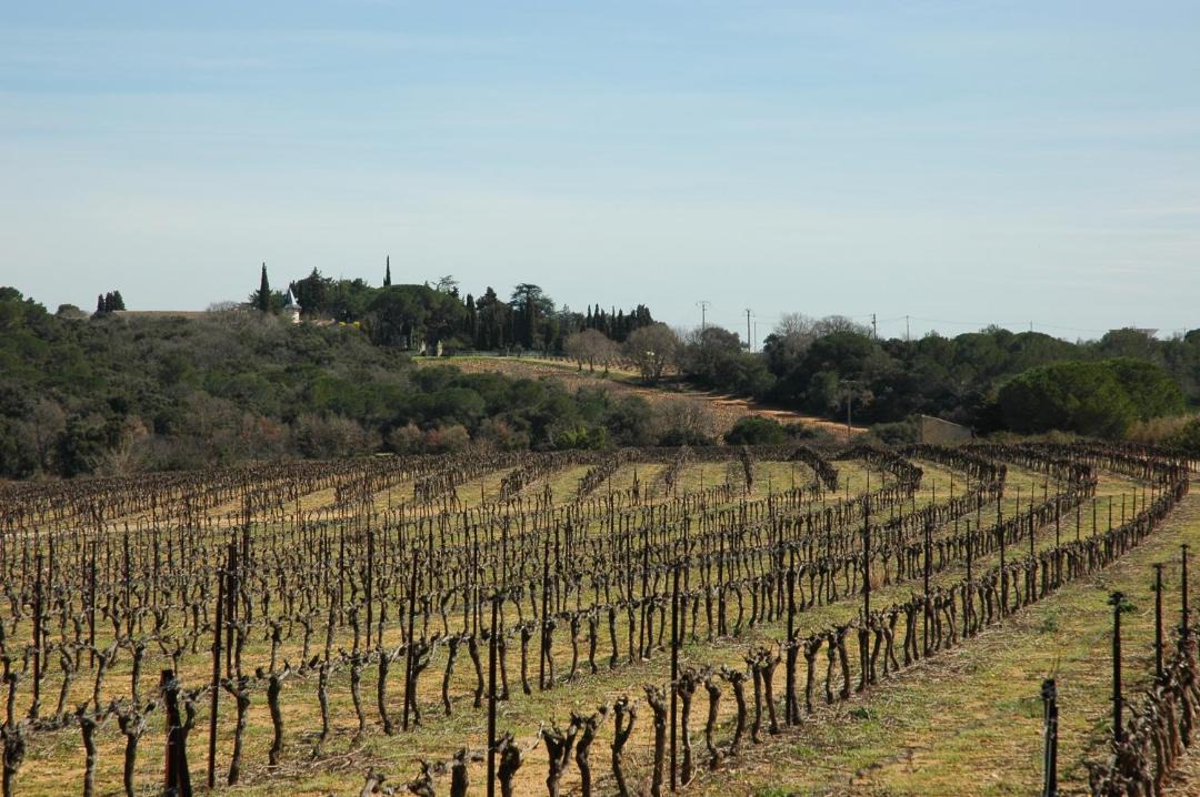 Photo of Others in Lunel-Viel