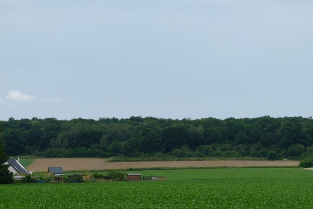 Photo of Others in Heuringhem