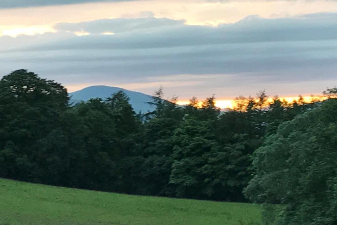 Photo of Others in Alexandria