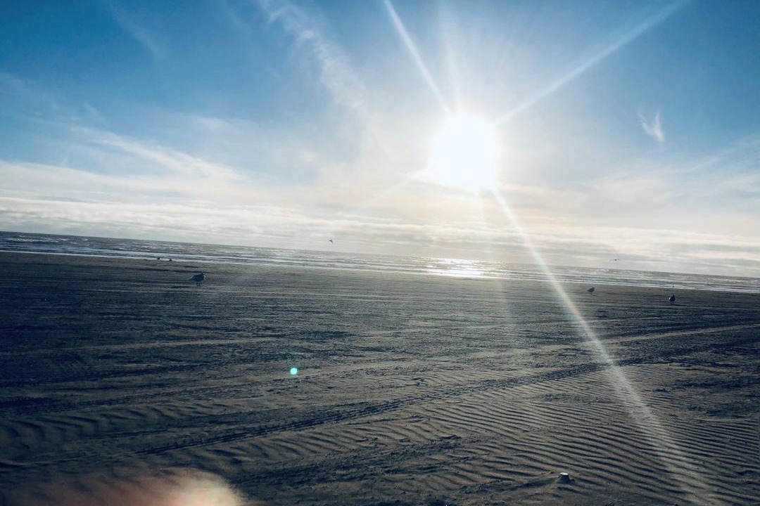 Photo of Others in Copalis Beach