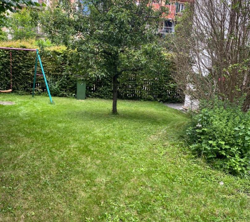 Photo of Others in Central Interlaken