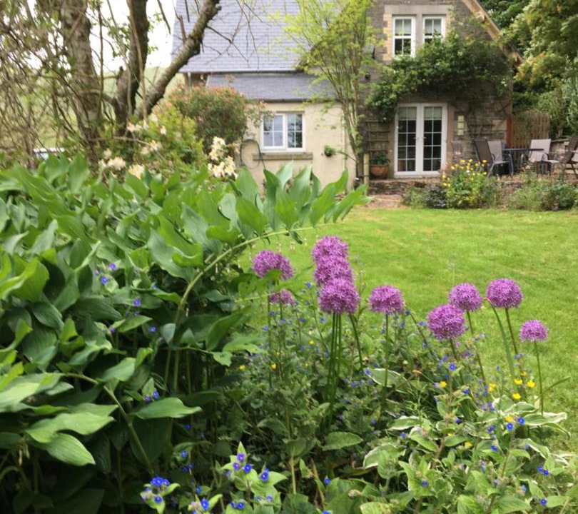 Photo of Others in Hawick