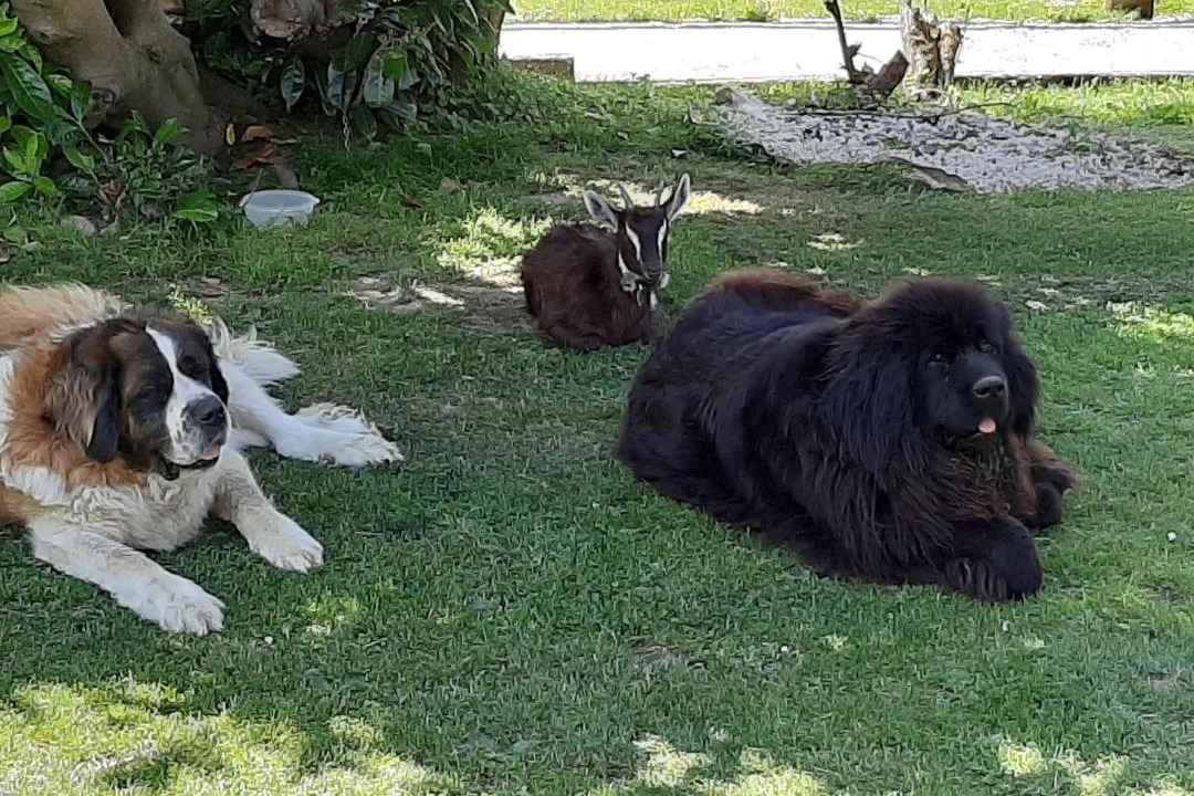 Photo of Others in Conde-sur-Vire