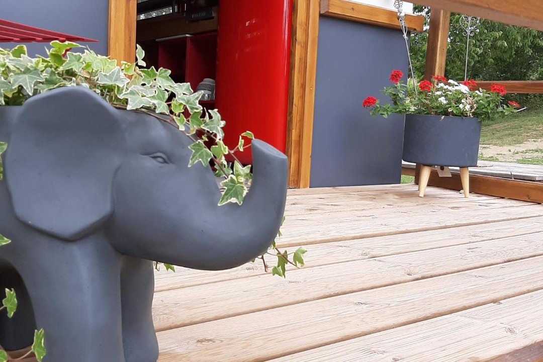 Photo of Others in Conde-sur-Vire